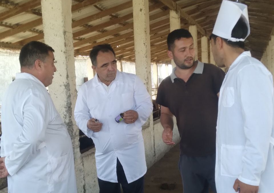 CHORVACHILIK KOMPLEKSLARI LABORATORIYALAR HAMKORLIGIDA O’RGANILDI