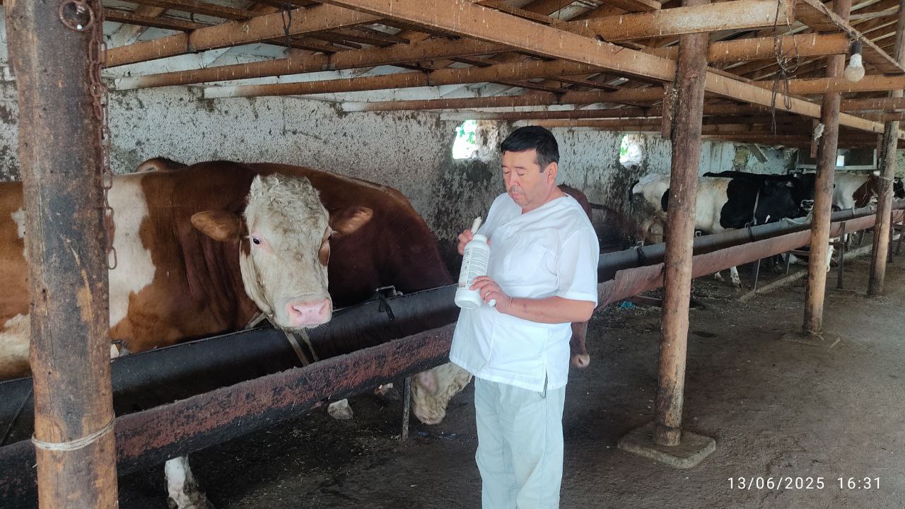 VITI ILMIY XODIMLARNING BIR KUNI Ulashov Ilxom Axmadovich